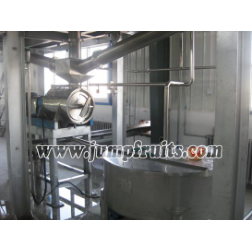 Fruit Fruit Aloe Mango Processing Line